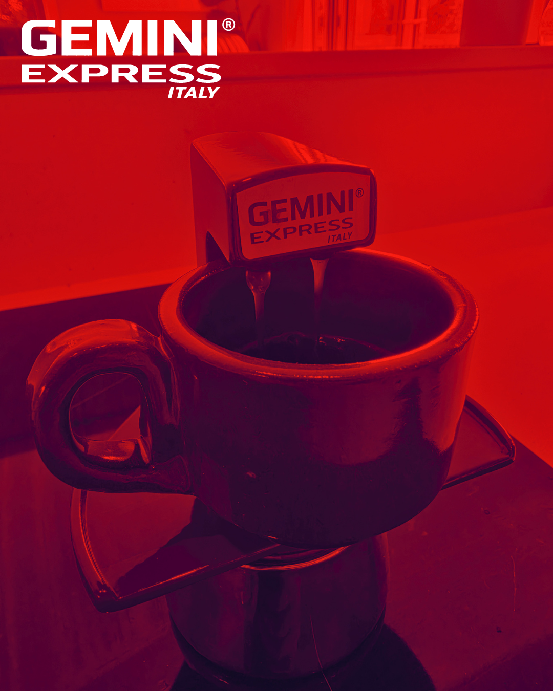 GEMINI EXPRESS MOKA POTS